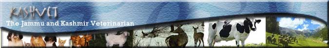 KASHVET - The Jammu and Kashmir Veterinarian