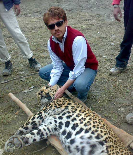 post mortem on a leopard in kashmir